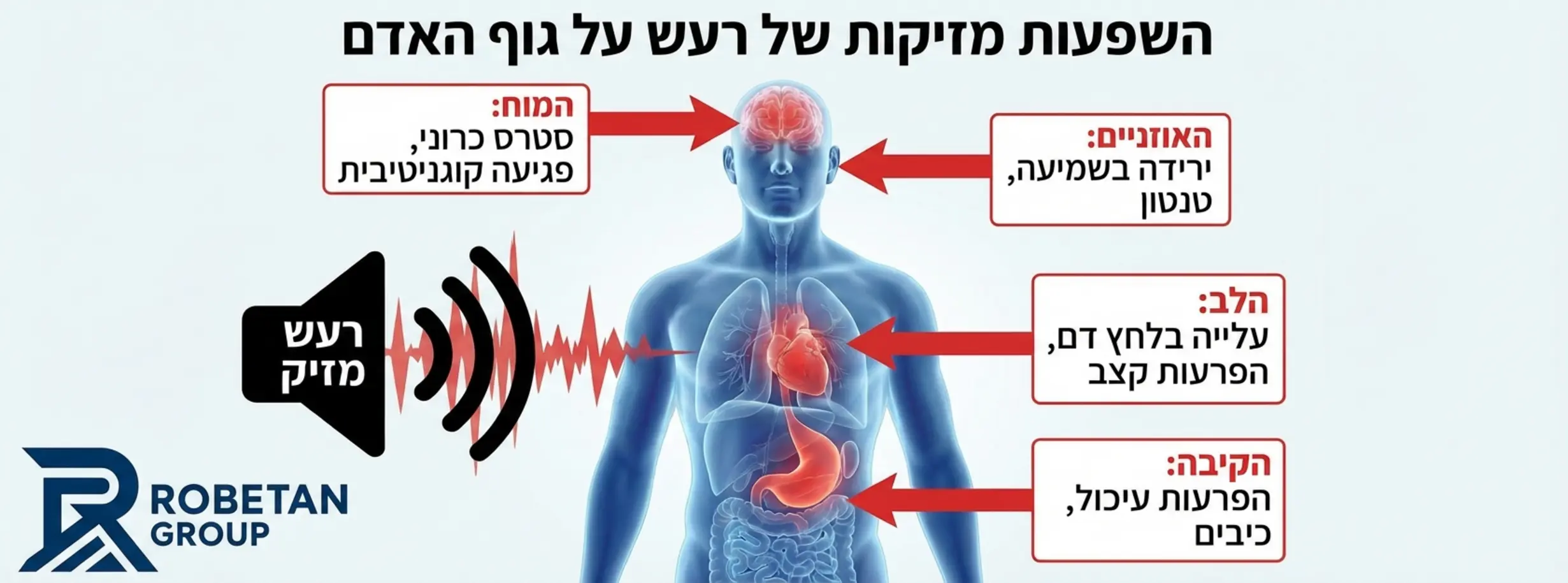 אינפוגרפיקה המציגה את גוף האדם ומסמנת את האיברים הנפגעים מרעש: המוח (סטרס), הלב (לחץ דם), האוזניים (שמיעה) והקיבה (עיכול), עם הסבר קצר ליד כל איבר